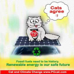 Fossil fuels need to be history. Renewable energy is our safe future