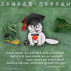Jade must be carved and polished before it becomes an ornament, man must be educated before he can achieve great things. | 玉不琢不成器，忍不学不成材
