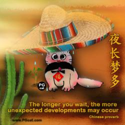 The longer you wait, the more unexpected developments may occur | 夜长梦多