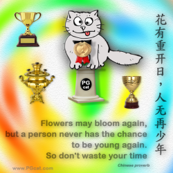 Flowers may bloom again, but a person never has the chance to be young again. So don't waste your time. | 花有重开日，人无再少年