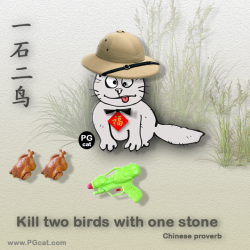 Kill two birds with one stone | 一石二鸟