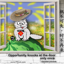Opportunity knocks at the door only once | 机不可失，时不再来
