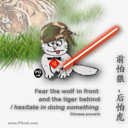 Fear the wolf in front and the tiger behind - hesitate in doing something | 前怕狼后怕虎
