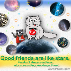 Good friends are like stars. You don`t always see them, but you know they are always there!