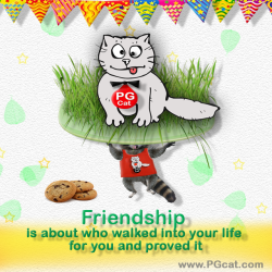 Friendship is about who walked into your life for you and proved it