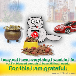 I may not have everything I want in life but I`m blessed enough to have all that I need. For this I am grateful