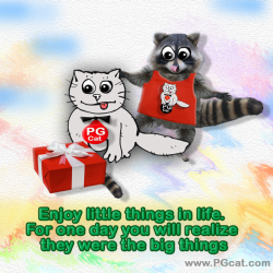 Enjoy little things in life. For one day you will realize they were the big things