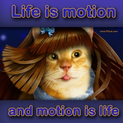 Life is motion ... and motion is life