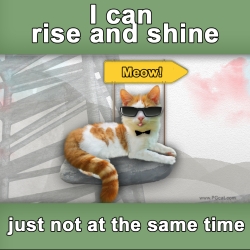 I can rise and shine, just not at the same time