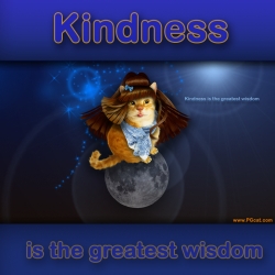 Kindness is the greatest wisdom.