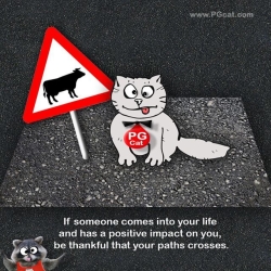 If someone comes into your life and has a positive impact on you, be thankful that your paths crosses.