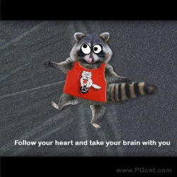 Follow your heart and take your brain with you.