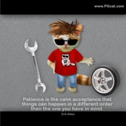 Patience is the calm acceptance that things can happen in a different order then the one you have in mind. D.G.Allen.